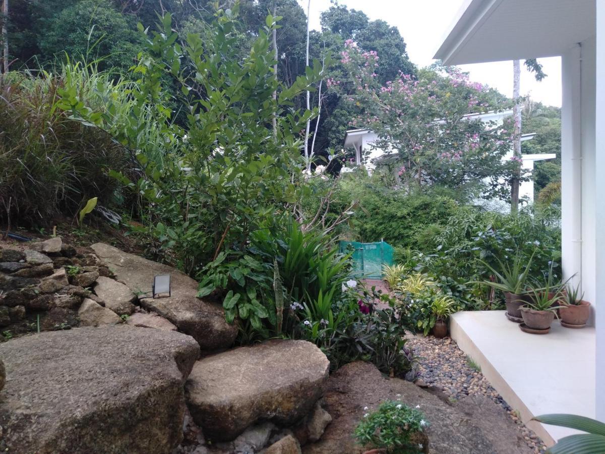 Perfect Sea View Mountain Villa Koh Samui Chaweng Beach Exteriör bild