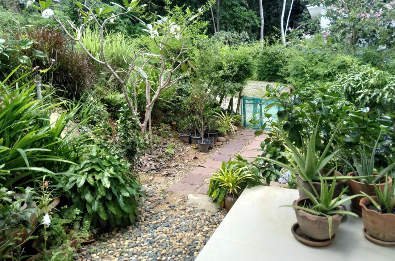 Perfect Sea View Mountain Villa Koh Samui Chaweng Beach Exteriör bild