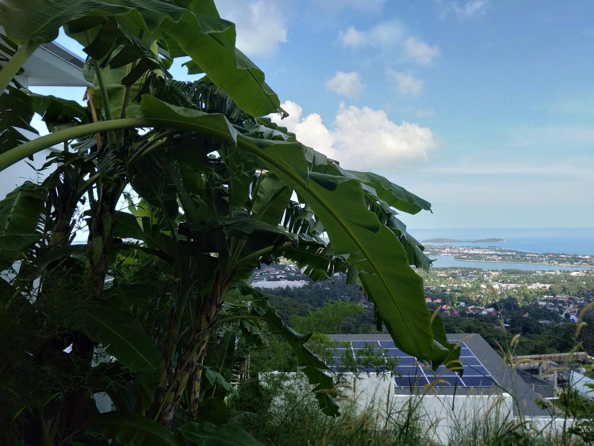 Perfect Sea View Mountain Villa Koh Samui Chaweng Beach Exteriör bild